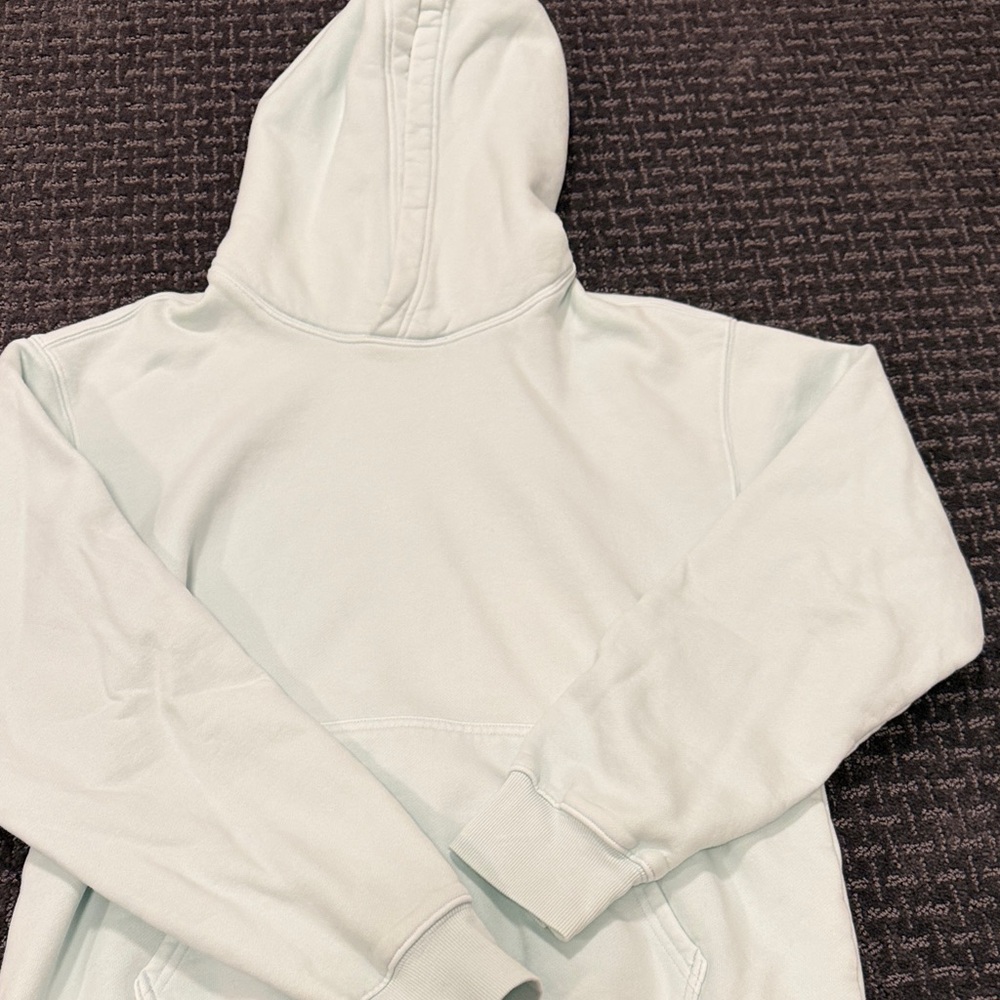 Aritzia light blue hoodie